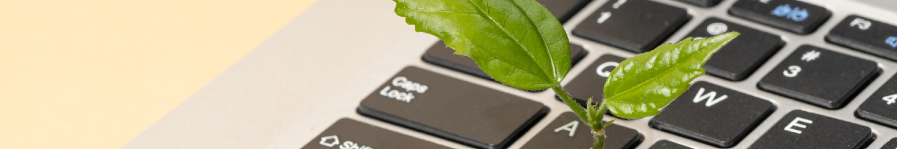 banner pc